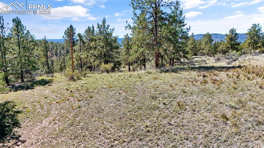 Image 13 of 20: Other