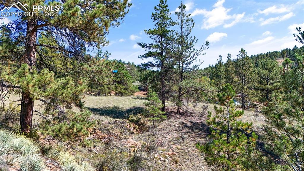 Image 14 of 20: Other