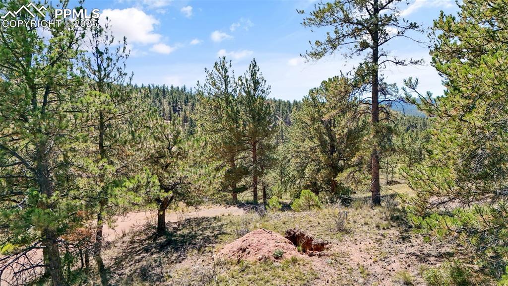 Image 15 of 20: Other