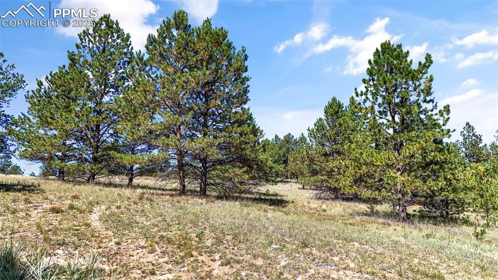 Image 16 of 20: Other