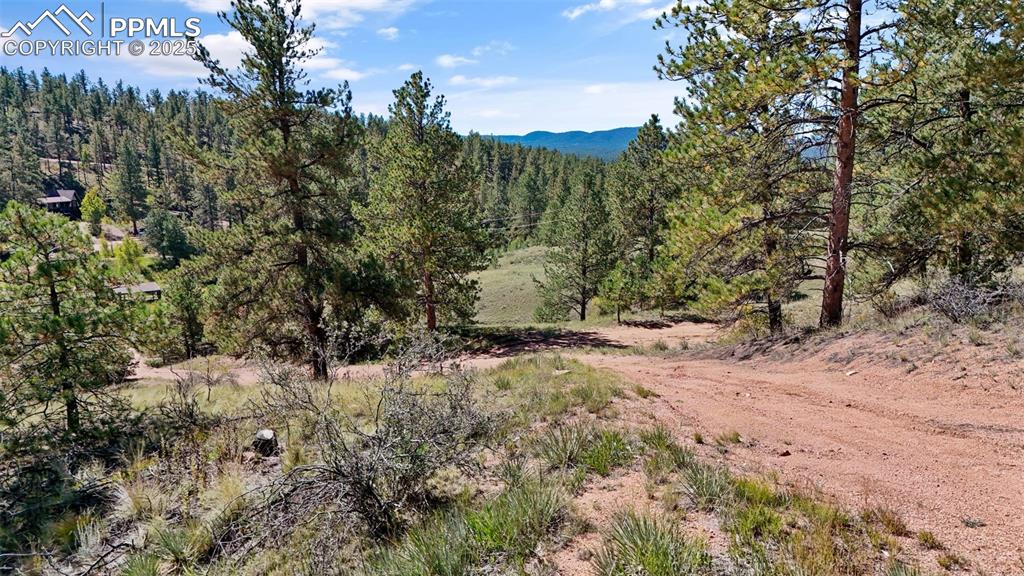 Image 18 of 20: View