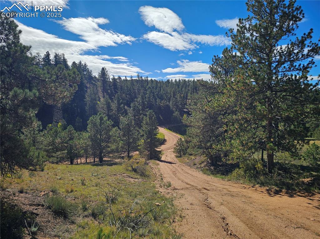 Image 19 of 20: View