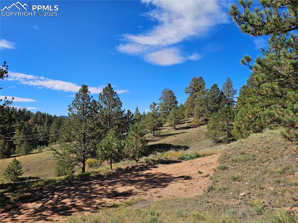 Image 20 of 20: Other