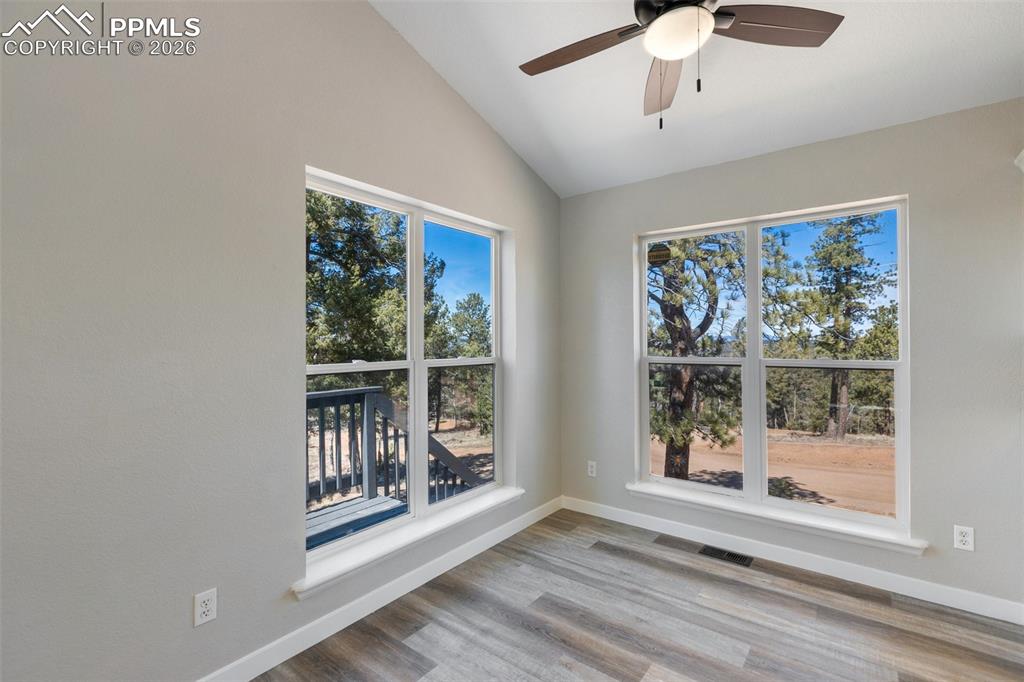 Image 18 of 38: Other