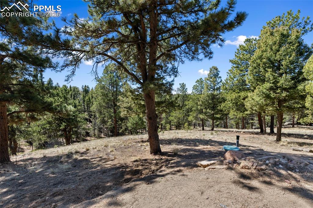 Image 5 of 38: Other