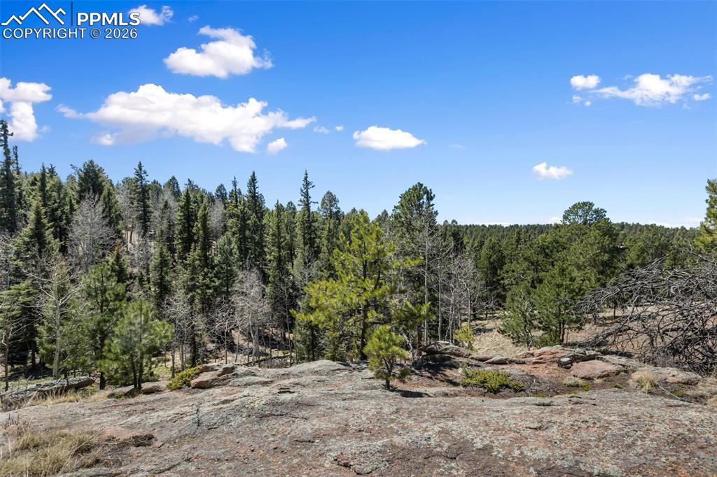 Image 8 of 38: Other