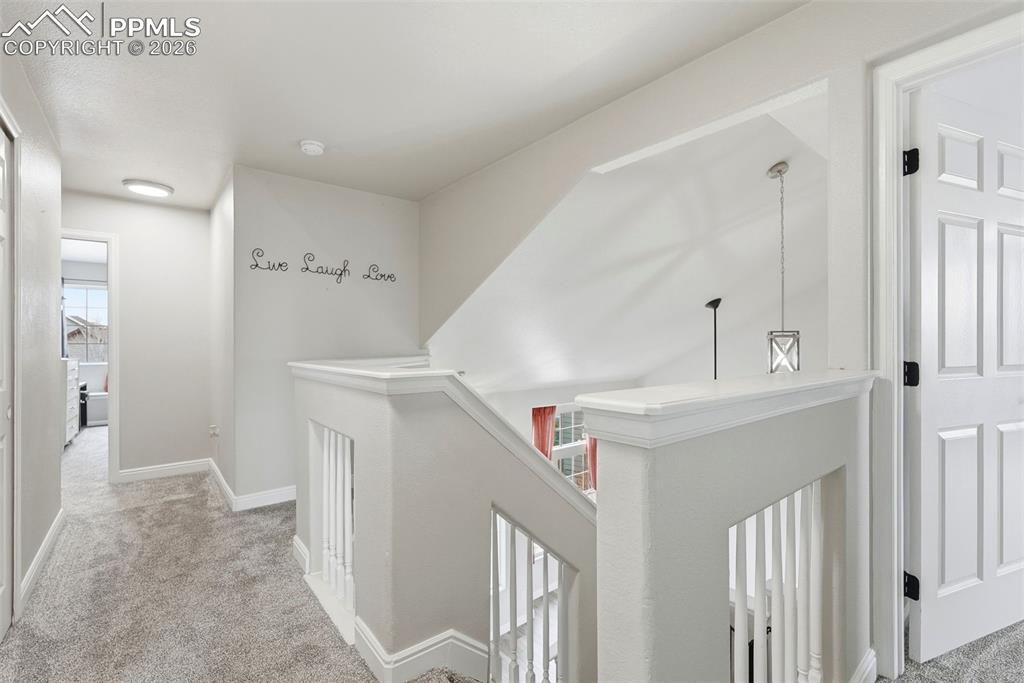 Image 39 of 50: Other