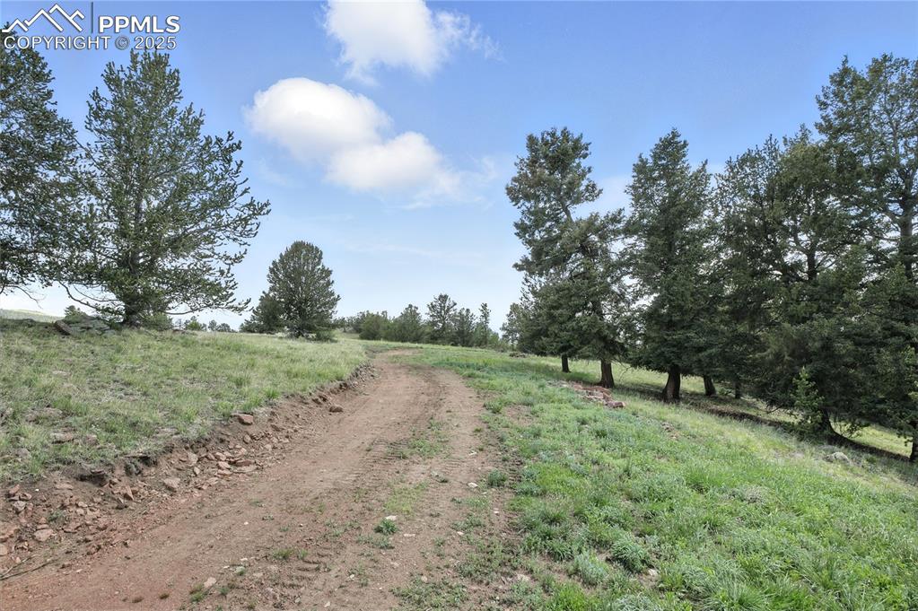Image 13 of 28: FUTURE DRIVEWAY ON PROPERTY