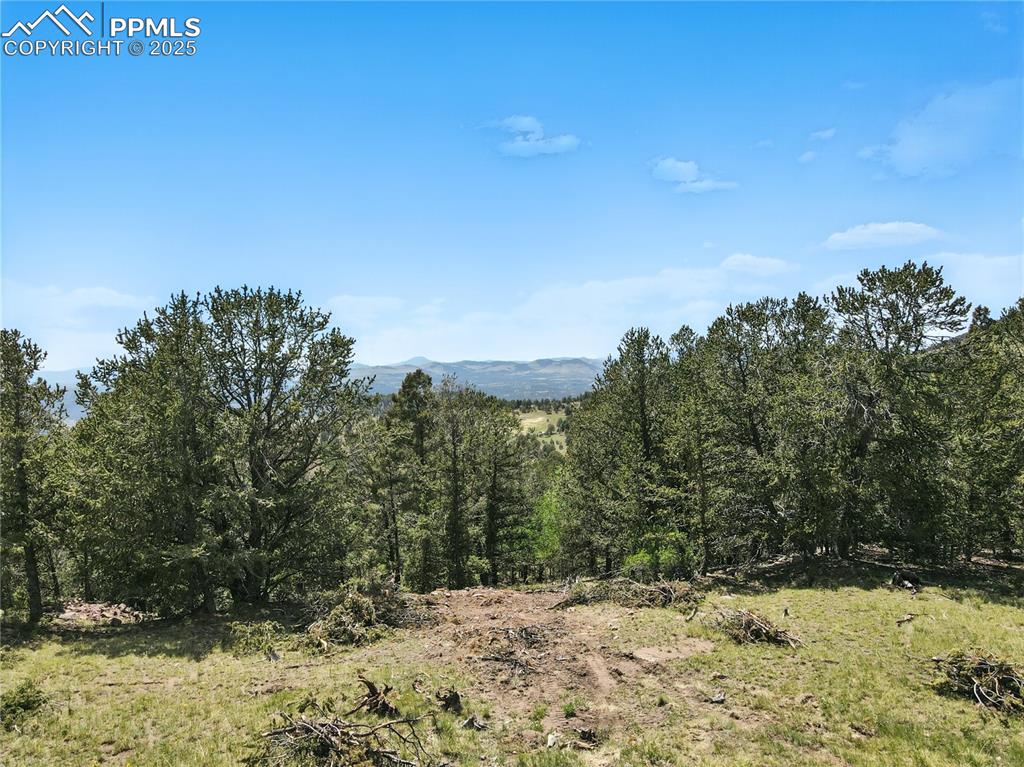 Image 14 of 28: POTENTIAL PLACEMENT FOR FUTURE HOME.