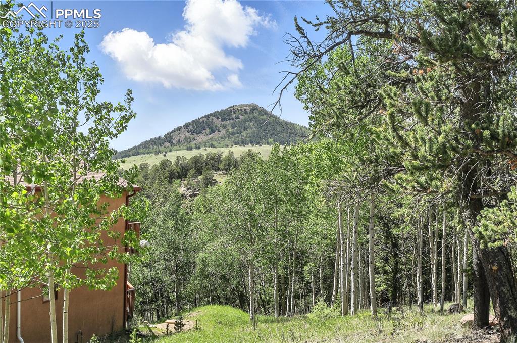 Image 19 of 28: View