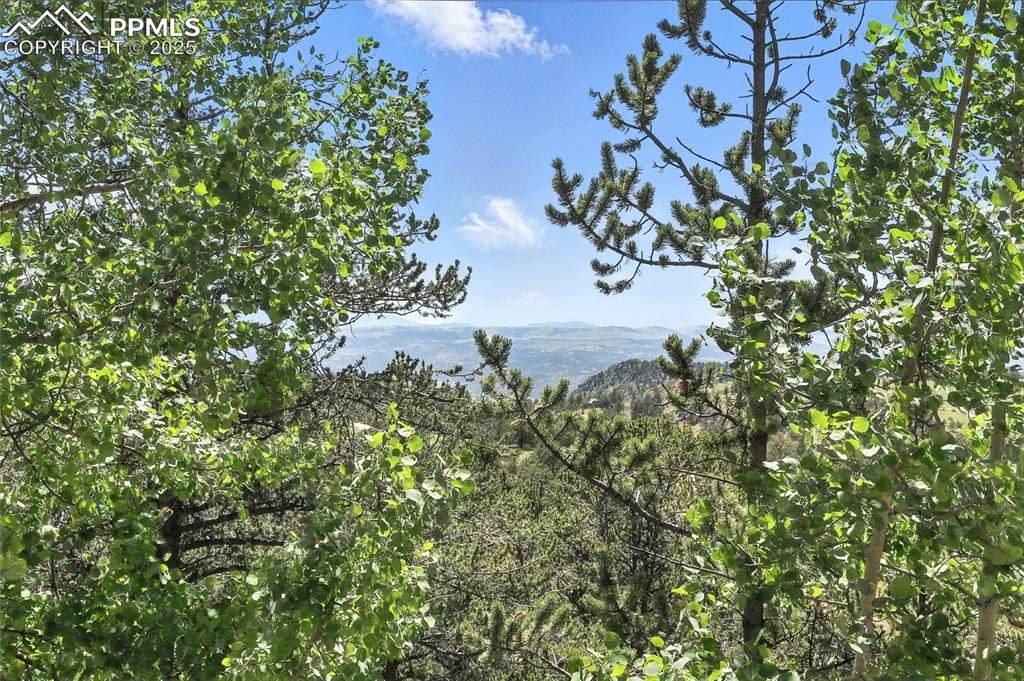 Image 20 of 28: View