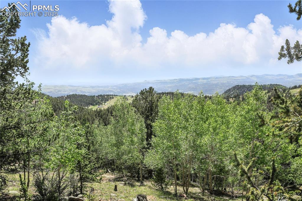 Image 21 of 28: View