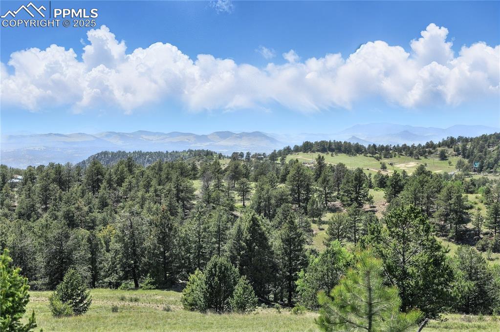 Image 9 of 28: View
