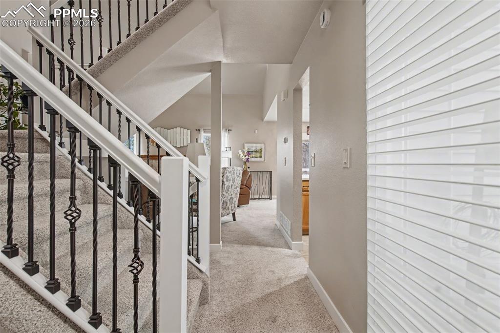 Image 8 of 41: Other