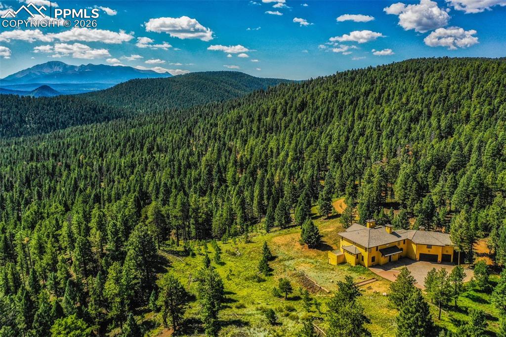 Image 4 of 50: Aerial view of the surrounding forested space and over the treetops to see