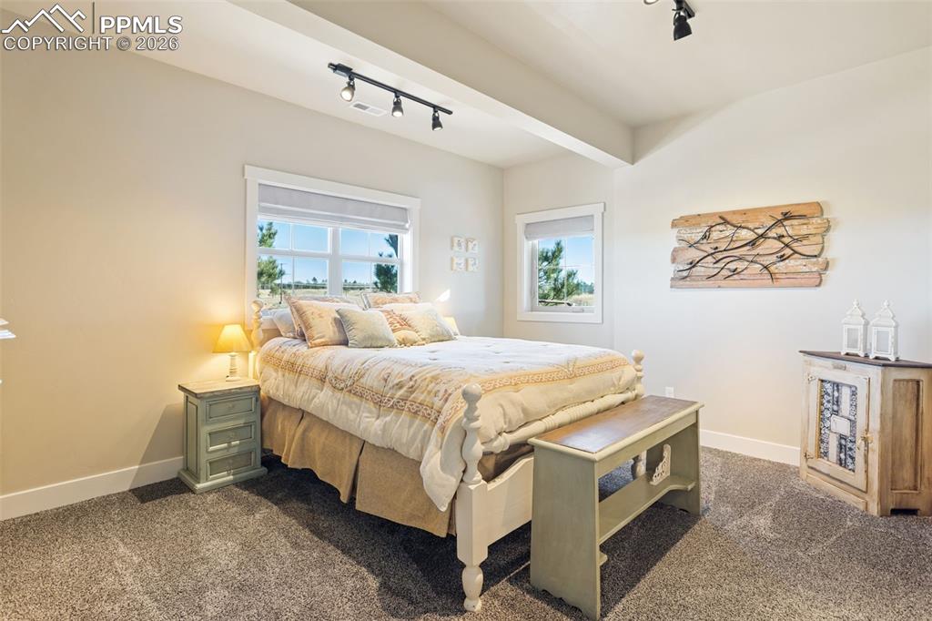 Image 39 of 50: basement bedroom with attached bath and closet