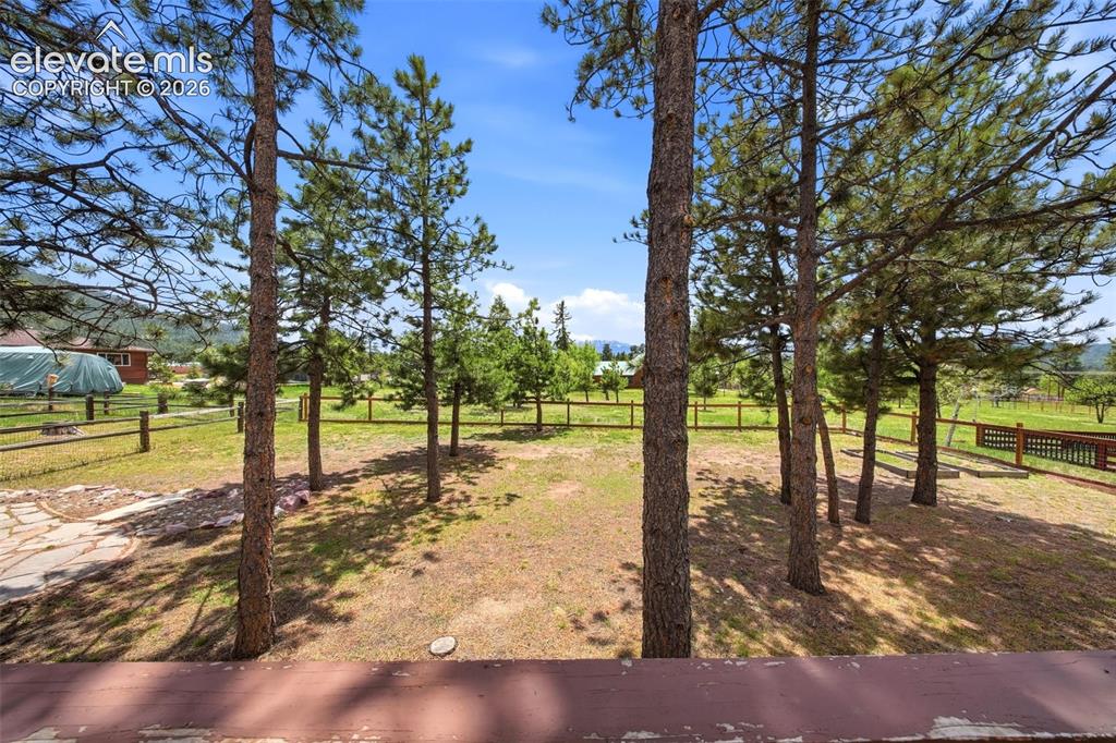 Image 41 of 41: Expansive outdoor space featuring mature pine trees, a split-rail fence, an