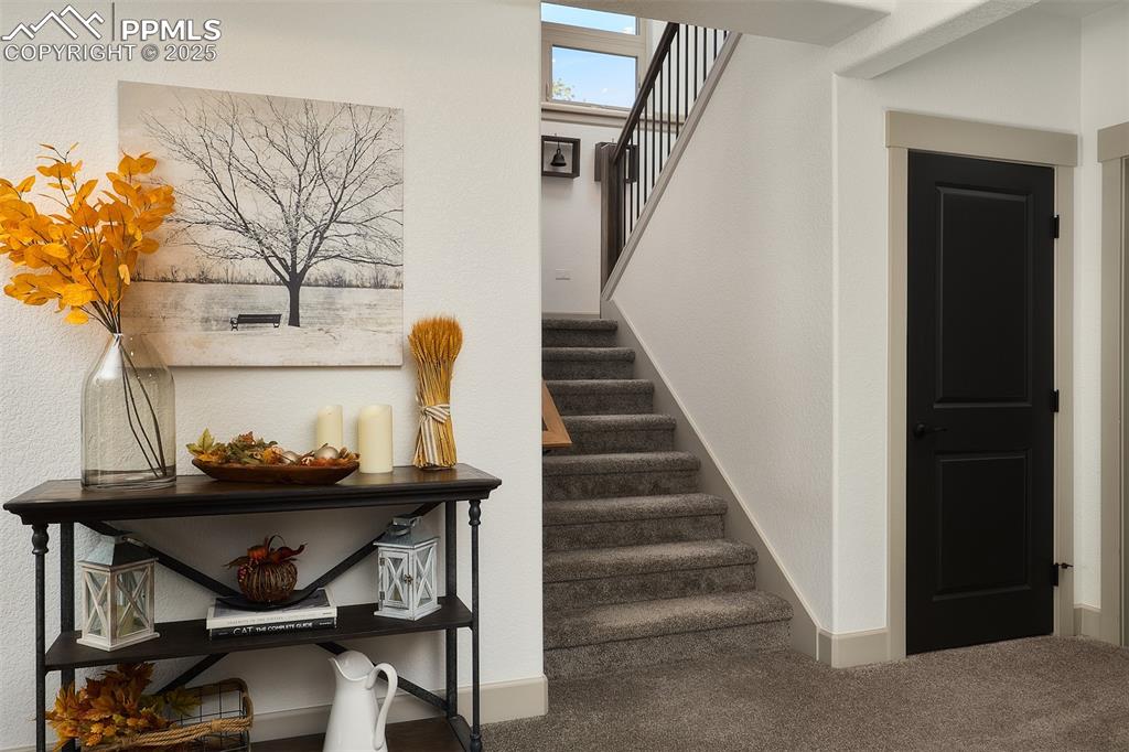 Image 24 of 50: Other