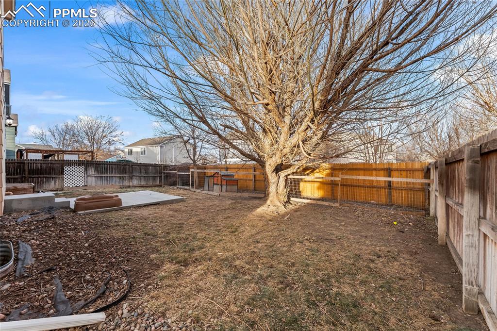 Image 39 of 39: Yard