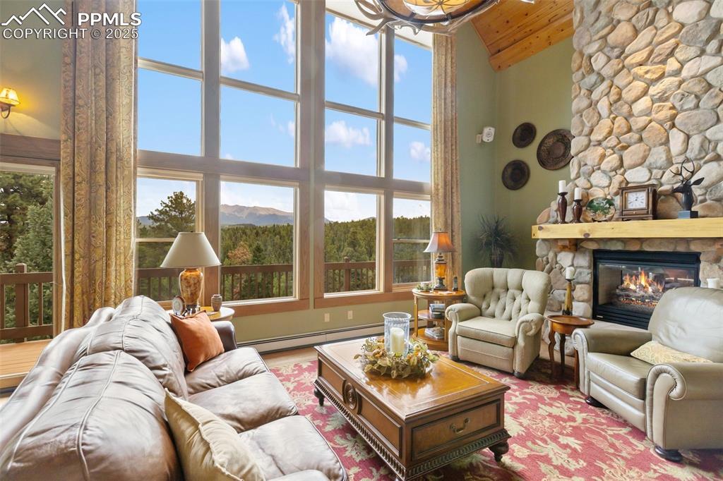 Image 10 of 49: Living Room