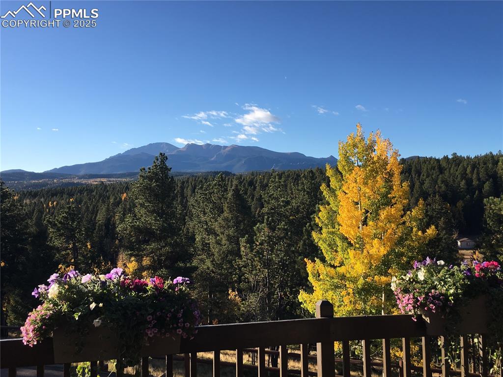 Image 34 of 49: View