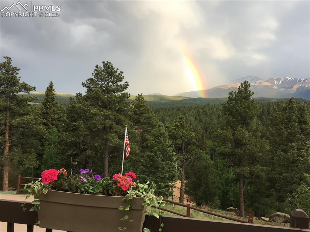 Image 35 of 49: View