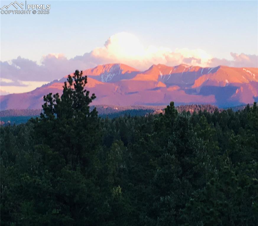 Image 36 of 49: View