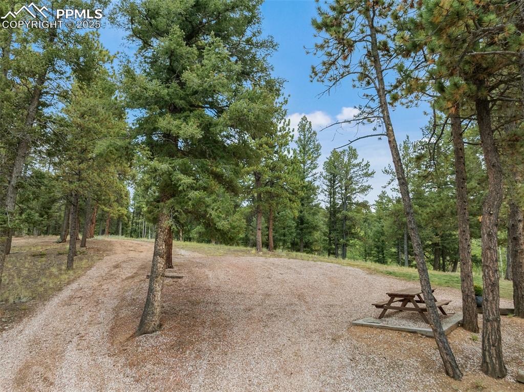 Image 38 of 49: Picnic Area