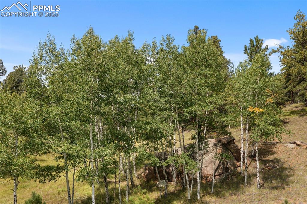 Image 42 of 49: Property