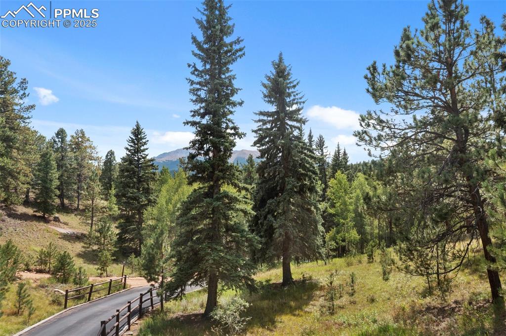 Image 43 of 49: Other