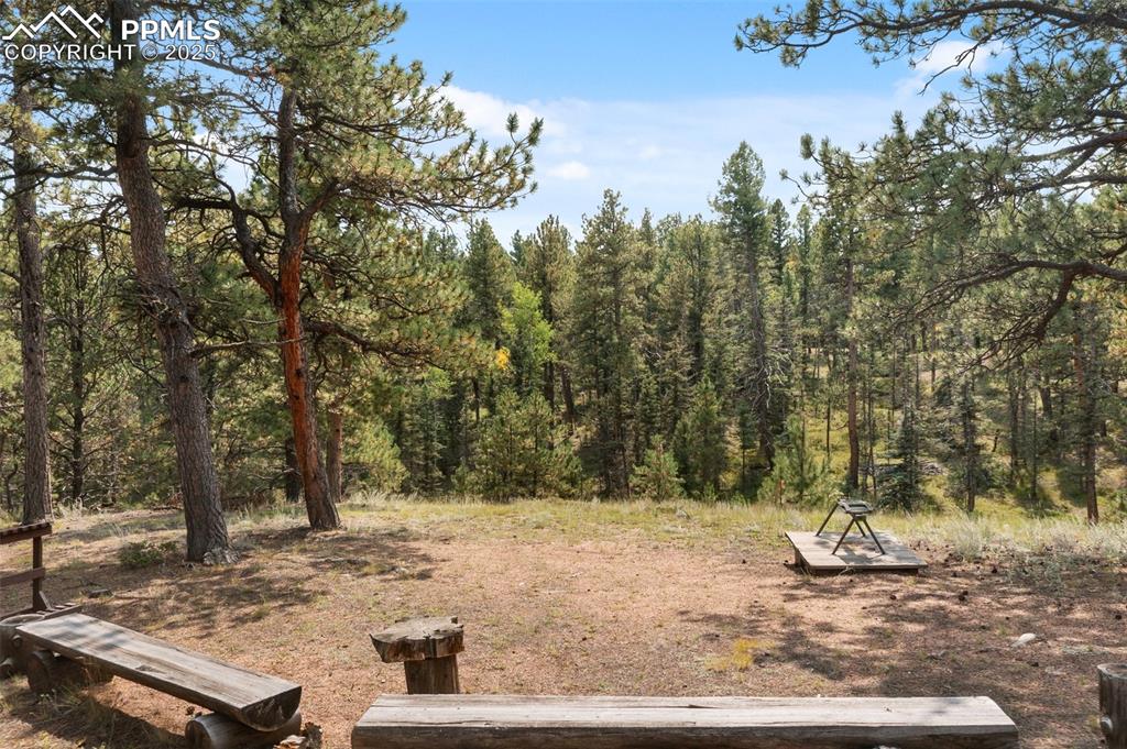 Image 46 of 49: Yard