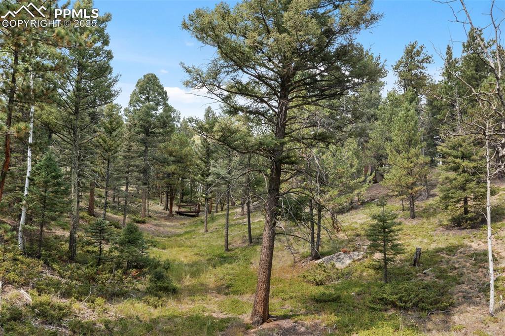 Image 47 of 49: Other