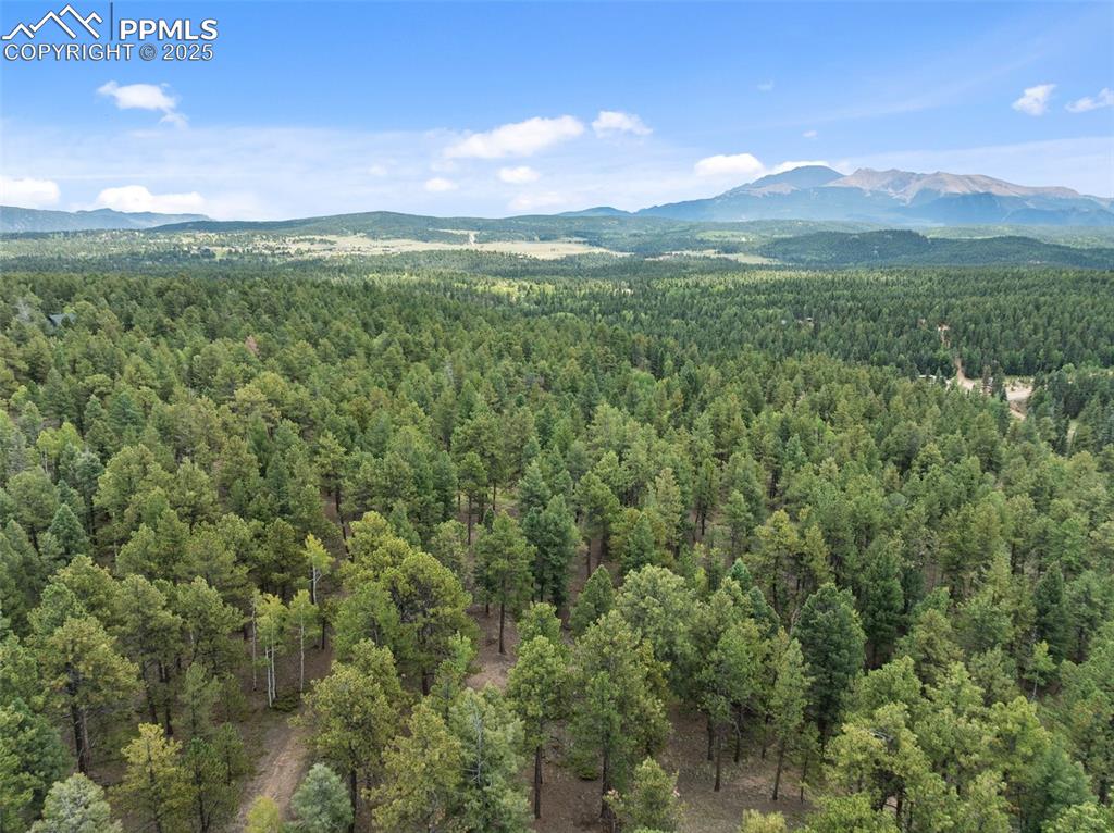 Image 49 of 49: Aerial View