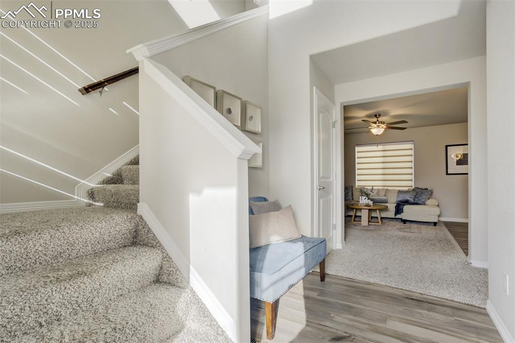 Image 6 of 50: Other