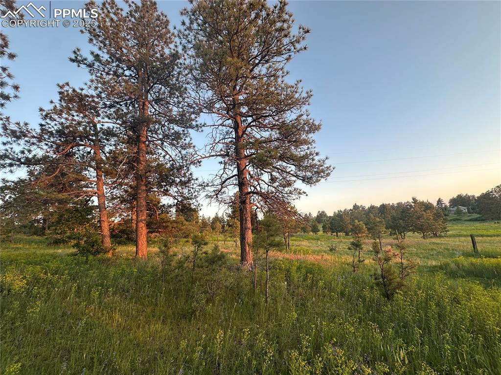 Image 10 of 21: View of nature at dusk
