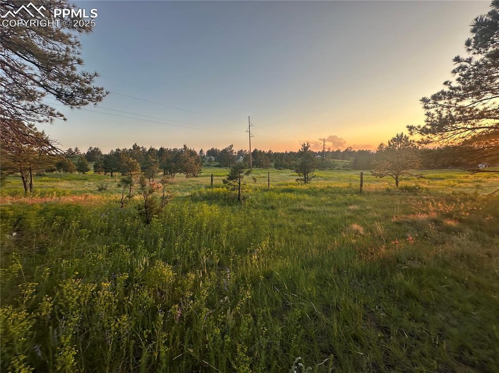 Image 11 of 21: View of meadow with a rural view