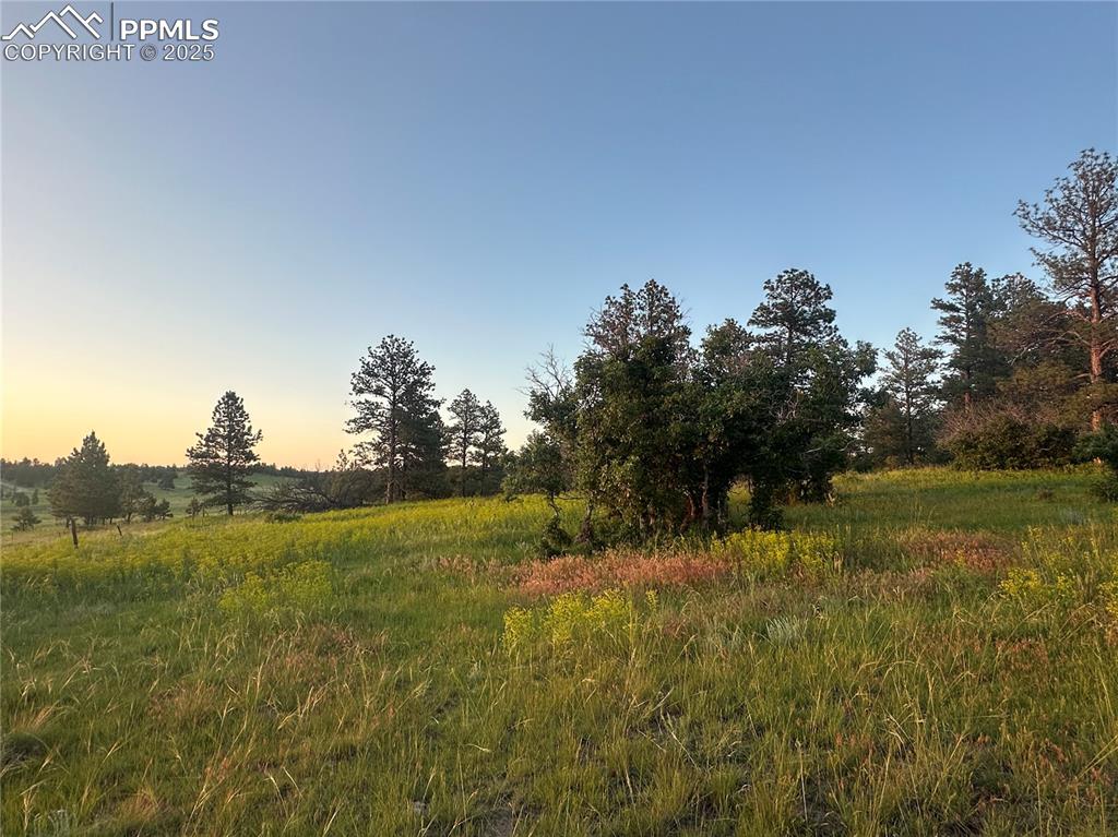 Image 12 of 21: View of undeveloped land with rural landscape
