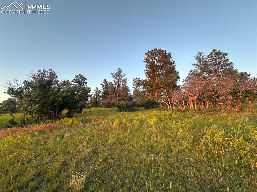 Image 14 of 21: View of nature