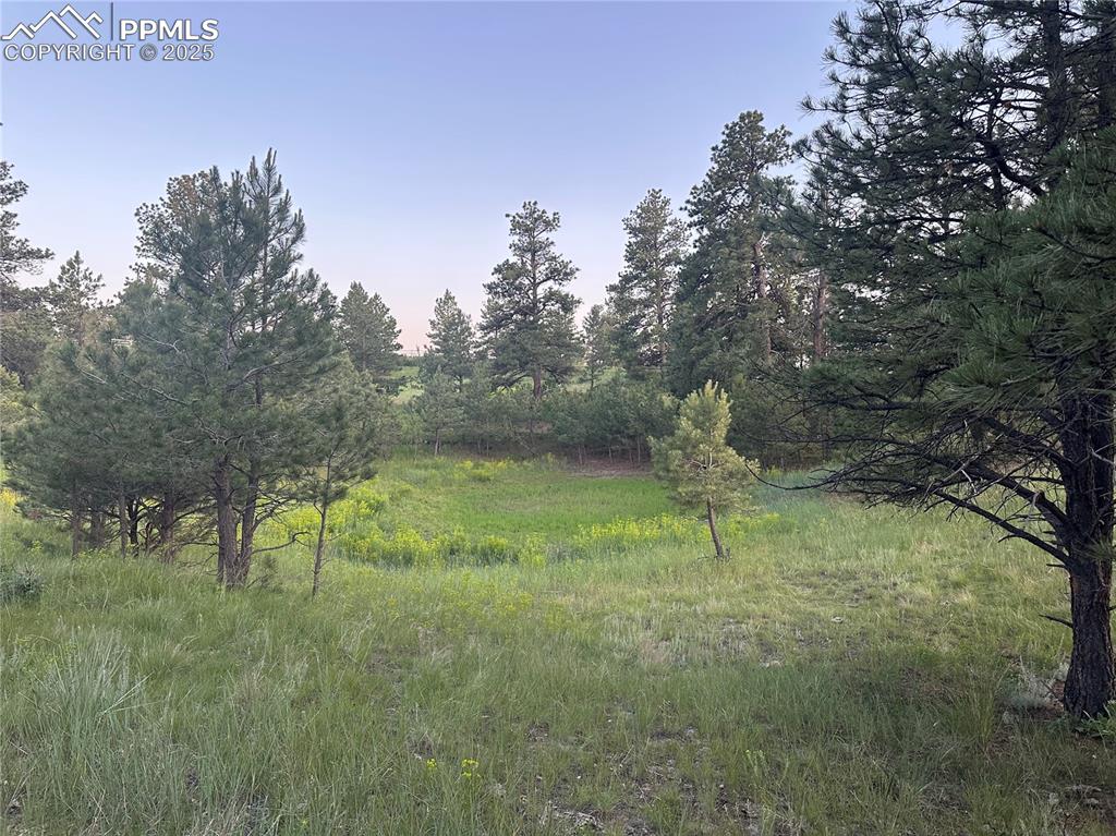 Image 16 of 21: View of nature