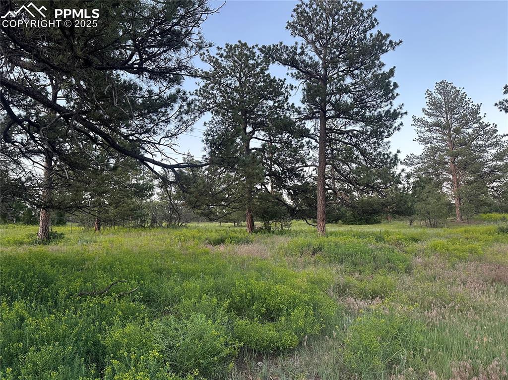 Image 18 of 21: View of raw land