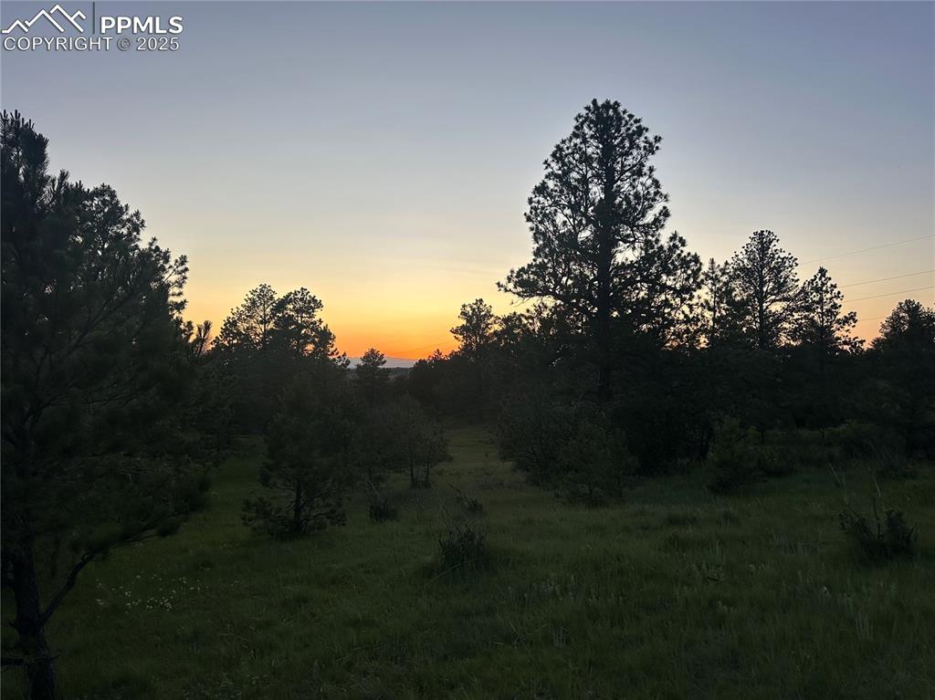 Image 21 of 21: View of nature at dusk