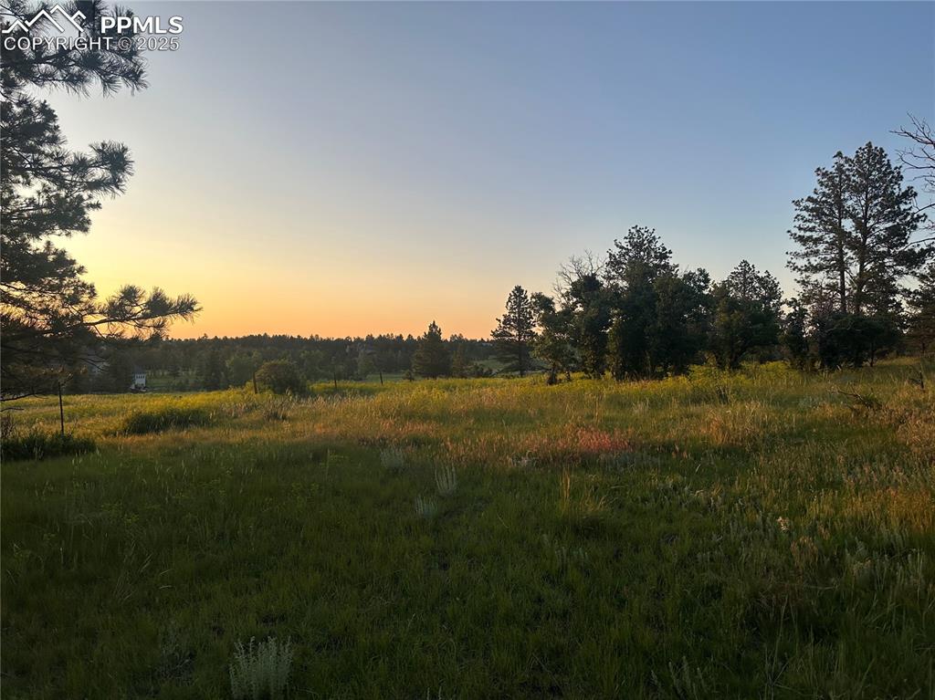 Image 9 of 21: View of local wilderness with rural landscape