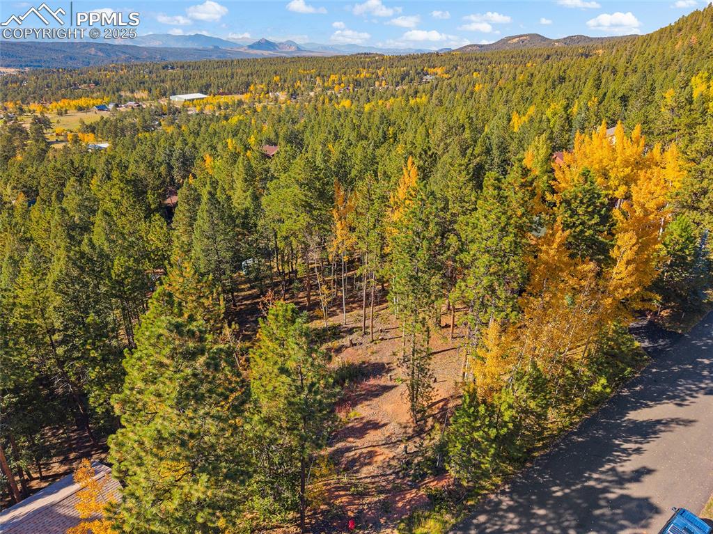 Image 14 of 19: Aerial View