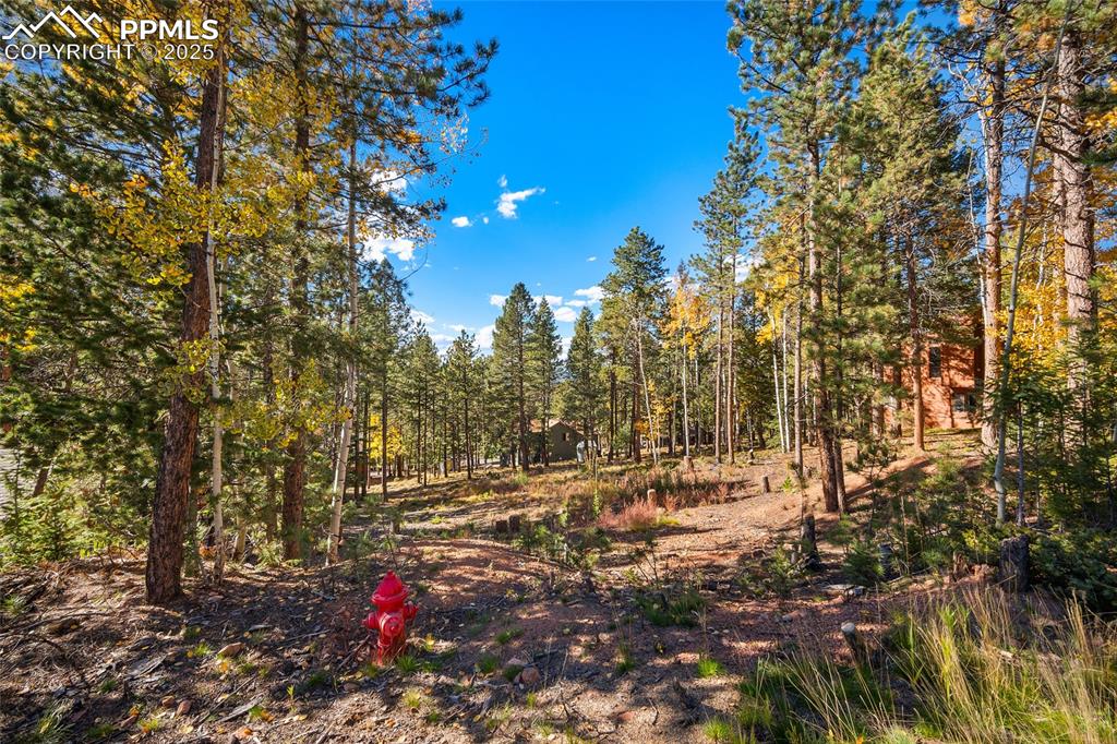 Image 18 of 19: Other