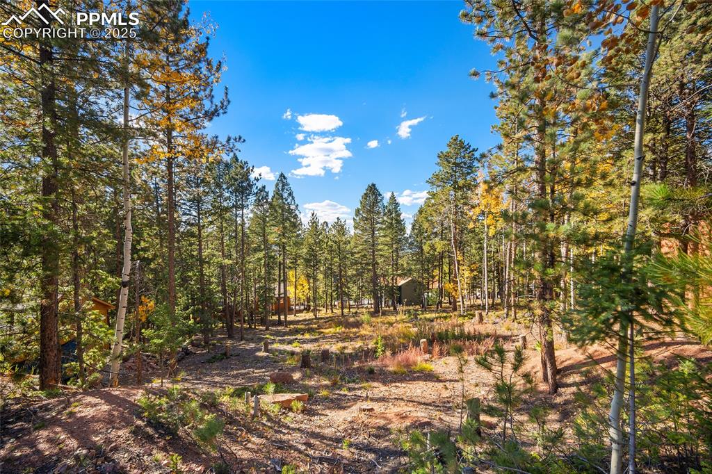 Image 19 of 19: Other