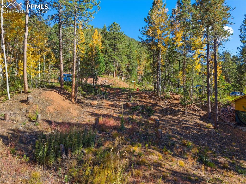 Image 7 of 19: Other