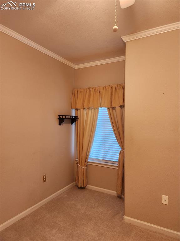 Image 16 of 19: Carpeted spare room featuring ornamental molding and a textured ceiling