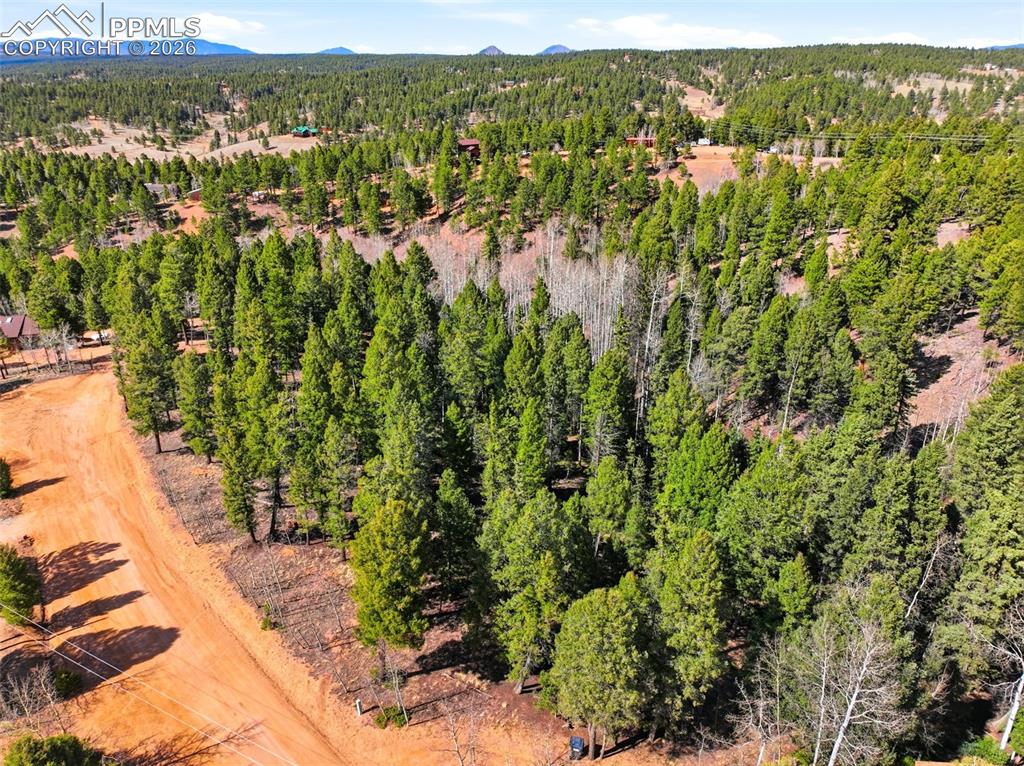 Image 14 of 23: Aerial View