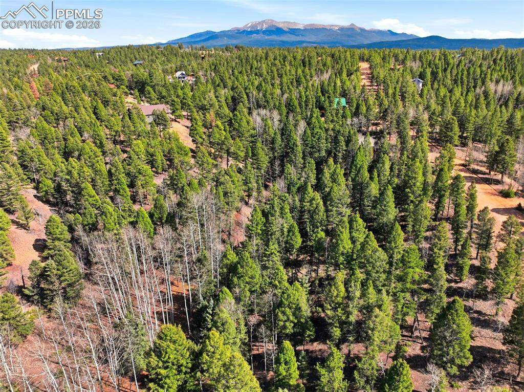 Image 23 of 23: Aerial View