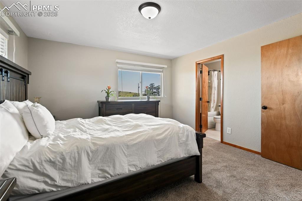 Image 20 of 40: Bedroom featuring carpet floors, connected bathroom, and a textured ceiling